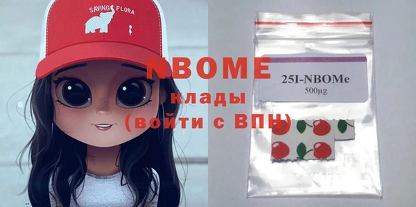 хмурый Богородск