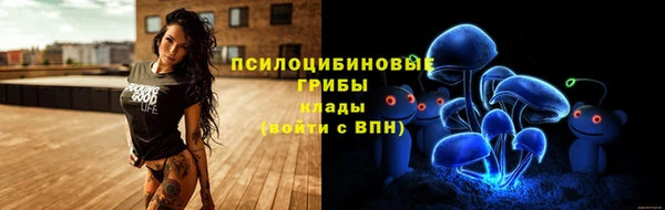 хмурый Богородск