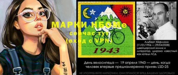 хмурый Богородск